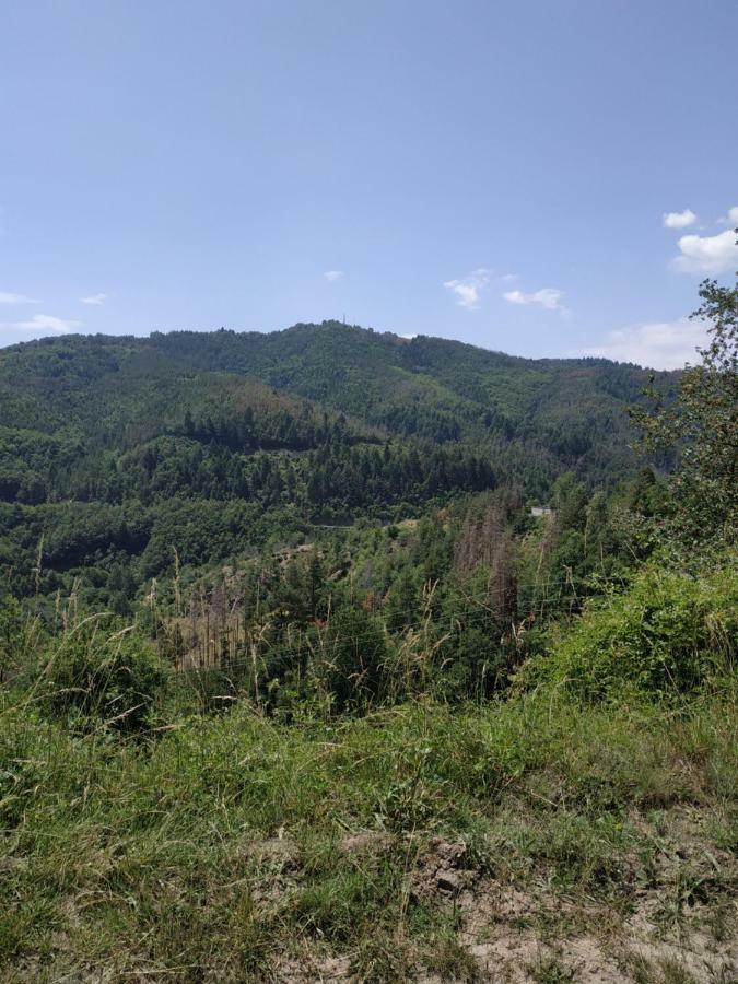 "Вила Баните" Exterior photo